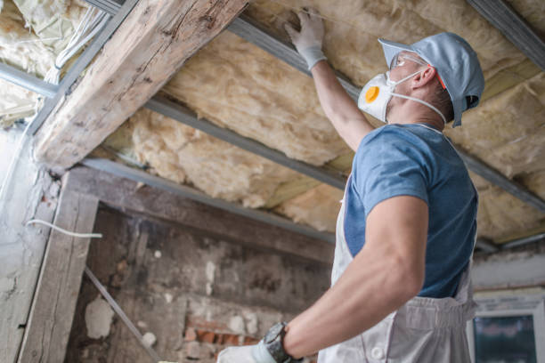 Best Spray Foam Insulation  in Timberlake, VA