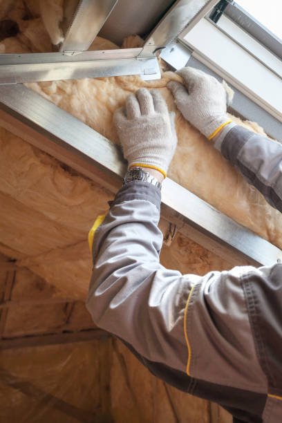 Trusted Timberlake, VA Insulation Installation & Removal Experts