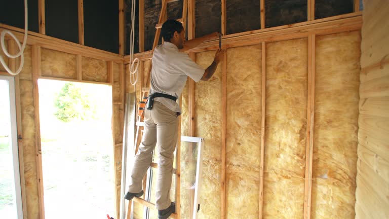 Best Commercial Insulation Services  in Timberlake, VA